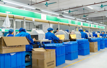 Processing Workshop